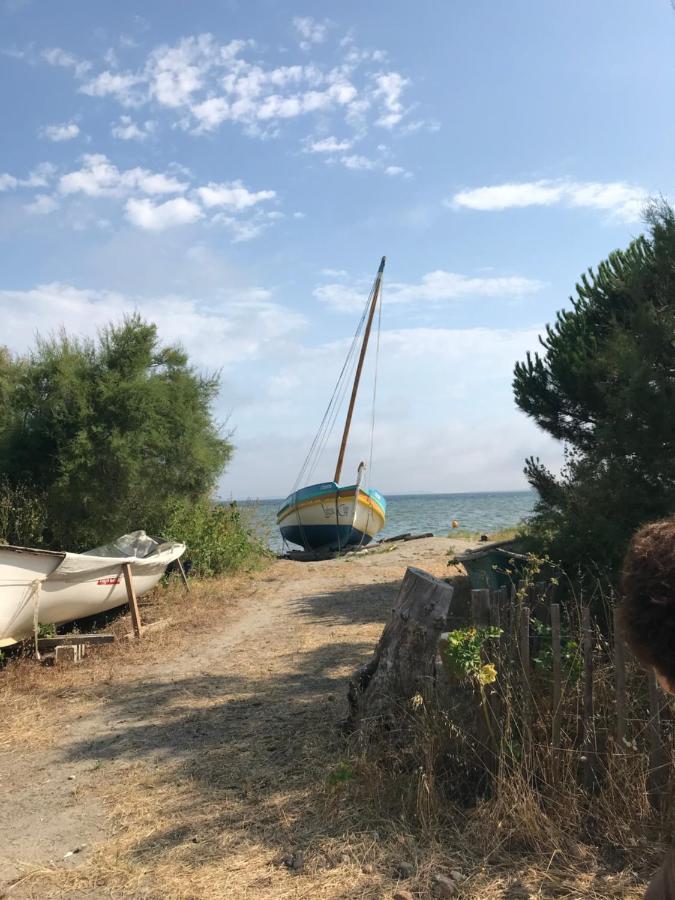 Le Gite Des Tontons Saint-Laurent-de-la-Salanque Buitenkant foto